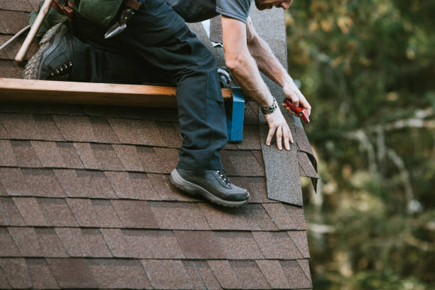 Best Roof Maintenance Services  in Nsfield Center, MA